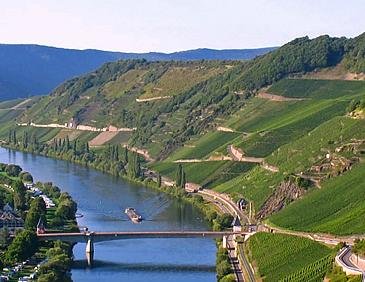 Große deutsche Weine